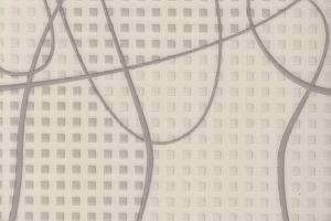 Линолеум IVC Vision Liner T03 фото  | FLOORDEALER